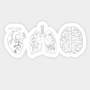 Anatomy heart brain, lung Sticker